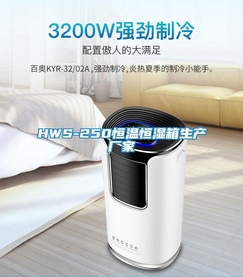 HWS-250恒溫恒濕箱生產廠家