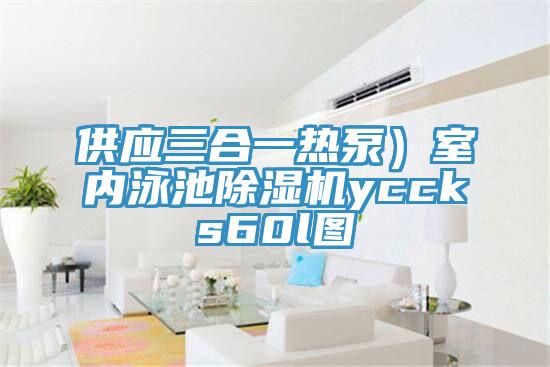 供應(yīng)三合一熱泵)室內(nèi)泳池除濕機(jī)yccks60l圖