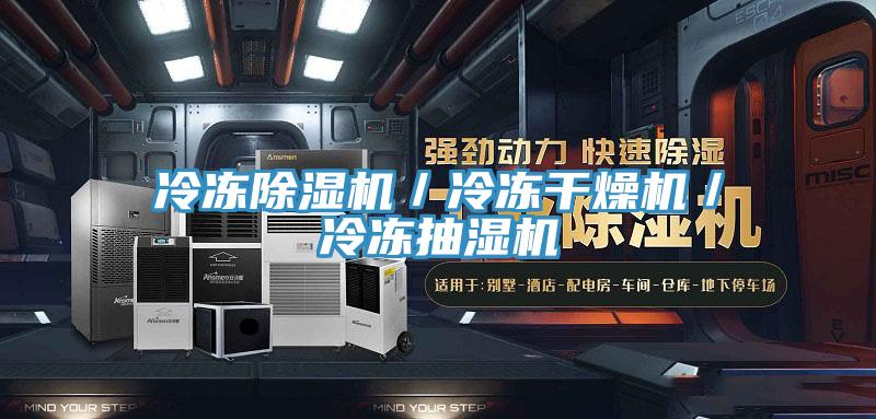 冷凍除濕機/冷凍干燥機/冷凍抽濕機