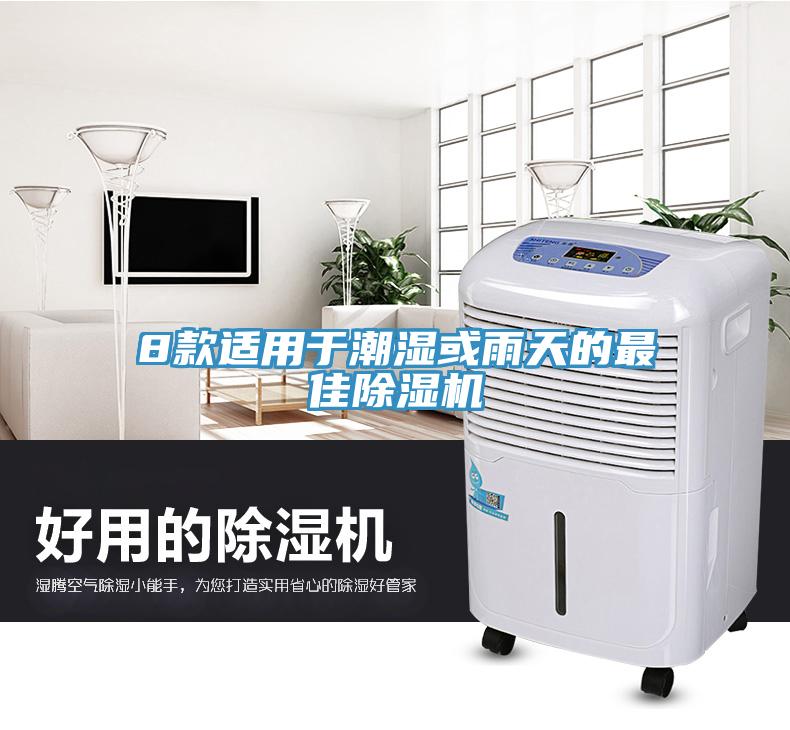8款適用于潮濕或雨天的最佳除濕機