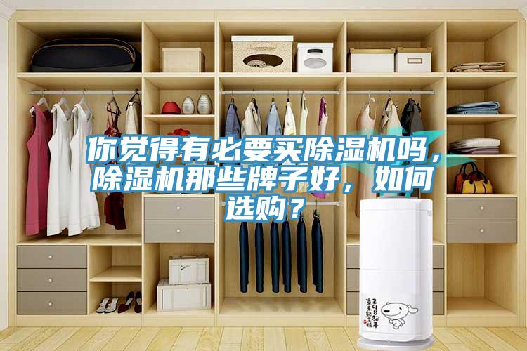 你覺得有必要買除濕機嗎，除濕機那些牌子好，如何選購？