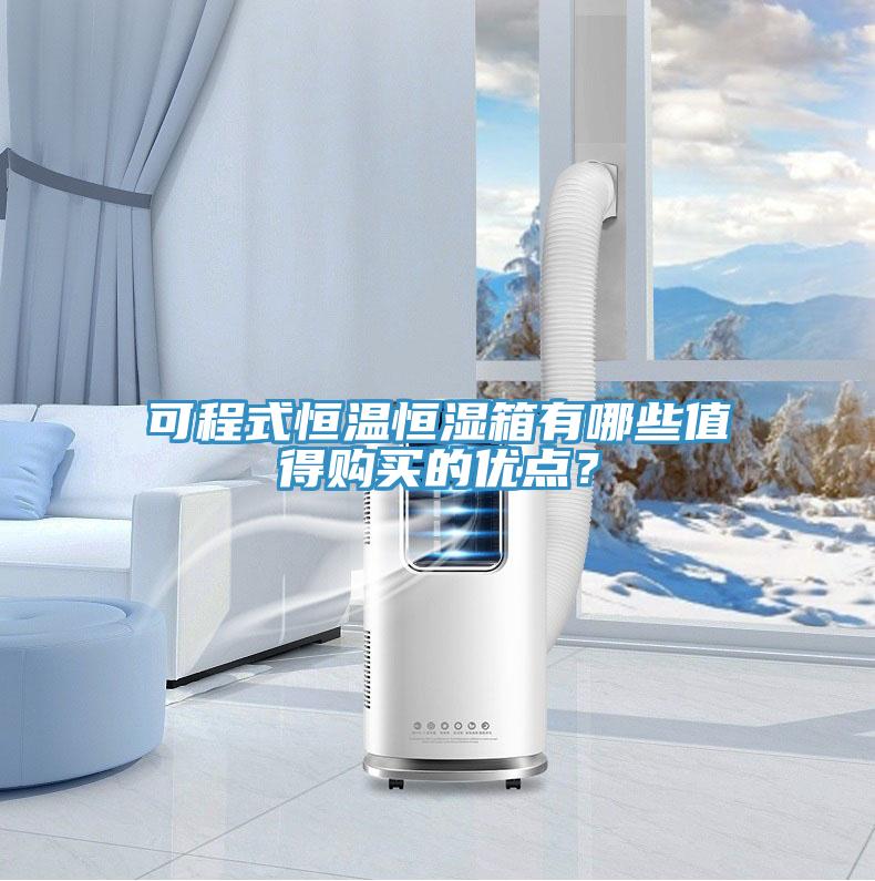 可程式恒溫恒濕箱有哪些值得購買的優(yōu)點(diǎn)？
