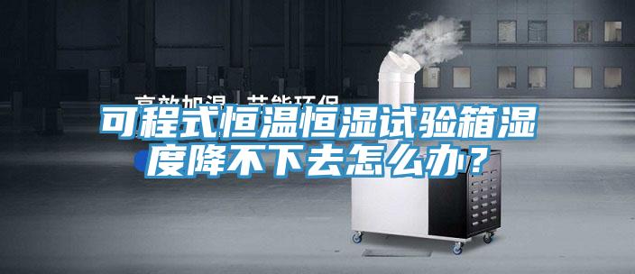 可程式恒溫恒濕試驗箱濕度降不下去怎么辦？