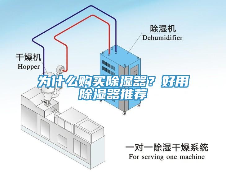 為什么購買除濕器？好用除濕器推薦