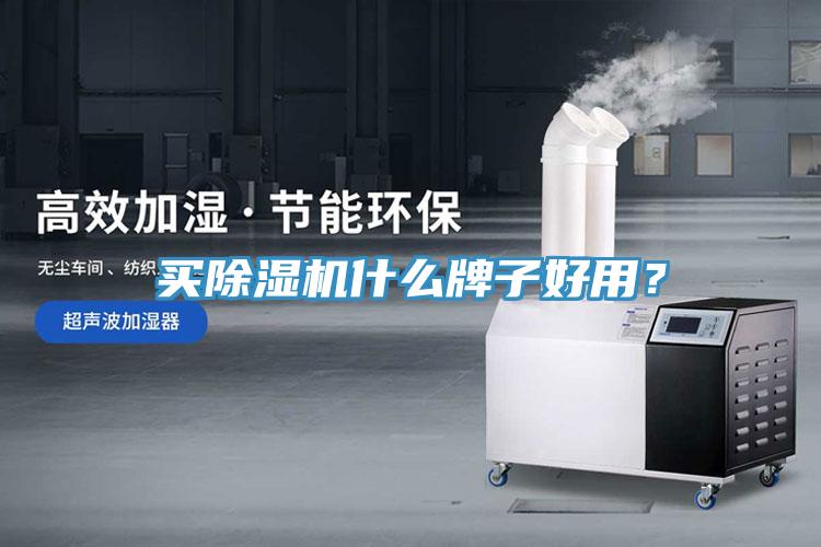 買除濕機什么牌子好用？