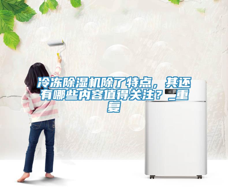 冷凍除濕機除了特點,其還有哪些內容值得關注?_重復