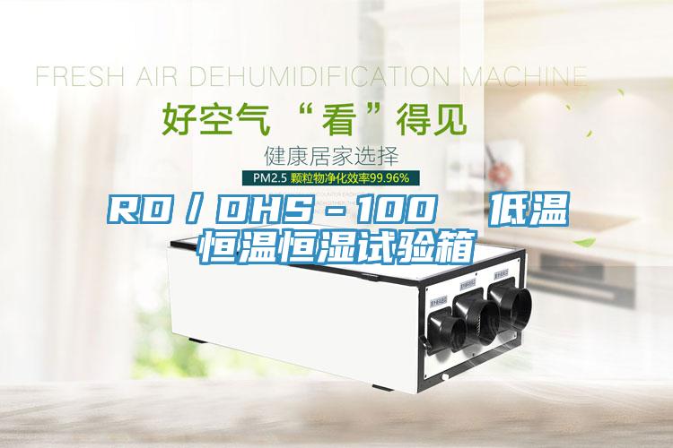 RD/DHS-100 低溫恒溫恒濕試驗箱