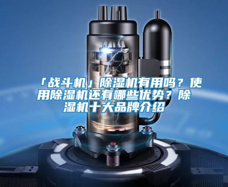 「戰(zhàn)斗機(jī)」除濕機(jī)有用嗎？使用除濕機(jī)還有哪些優(yōu)勢？除濕機(jī)十大品牌介紹