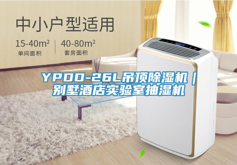 YPDD-26L吊頂除濕機|別墅酒店實驗室抽濕機