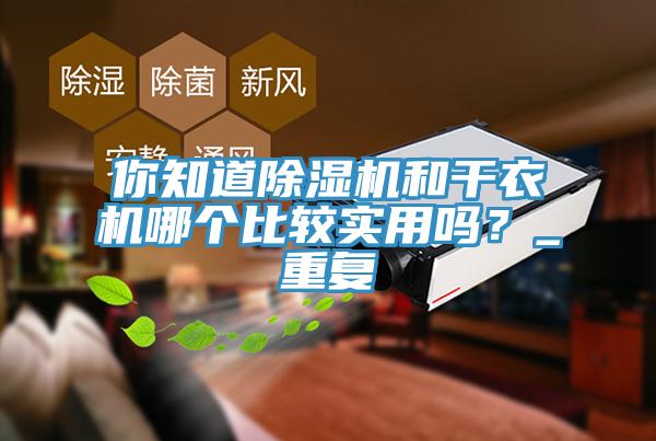 你知道除濕機和干衣機哪個比較實用嗎？_重復