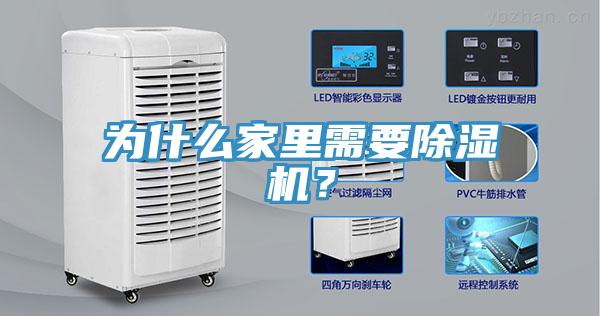 為什么家里需要除濕機?