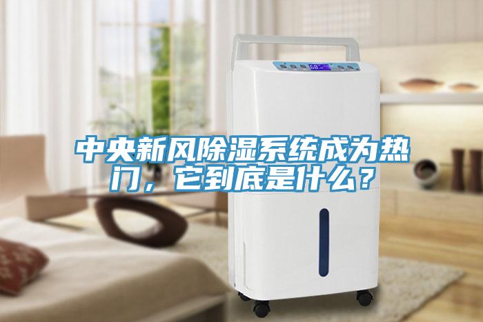 中央新風(fēng)除濕系統(tǒng)成為熱門，它到底是什么？
