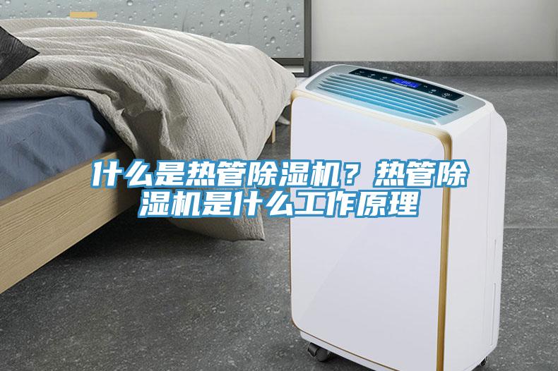 什么是熱管除濕機?熱管除濕機是什么工作原理