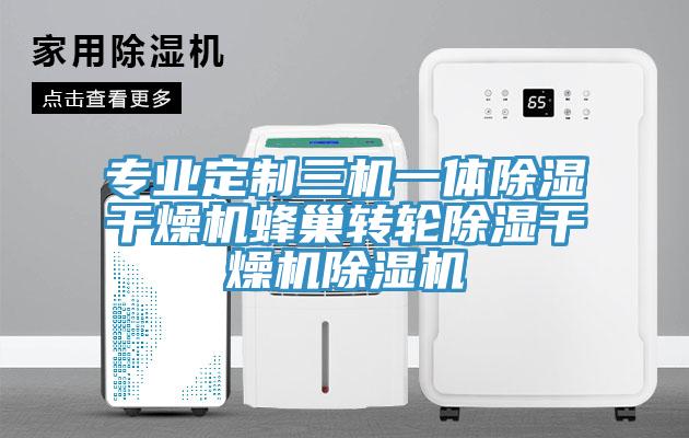 專業(yè)定制三機(jī)一體除濕干燥機(jī)蜂巢轉(zhuǎn)輪除濕干燥機(jī)除濕機(jī)