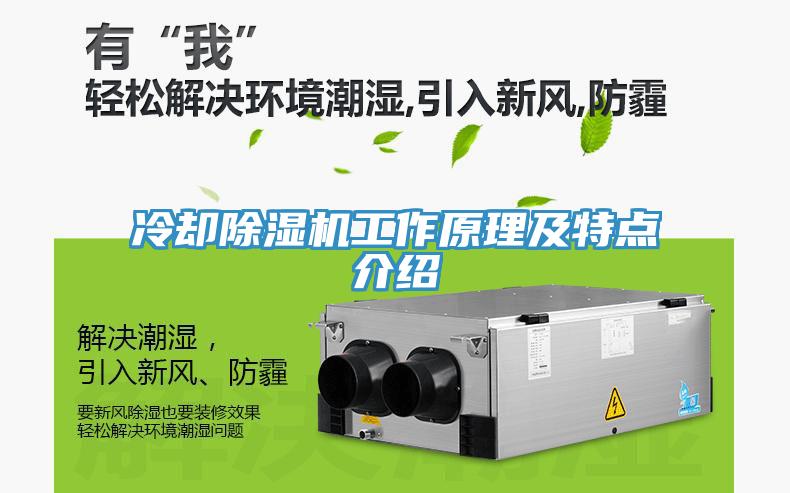 冷卻除濕機工作原理及特點介紹