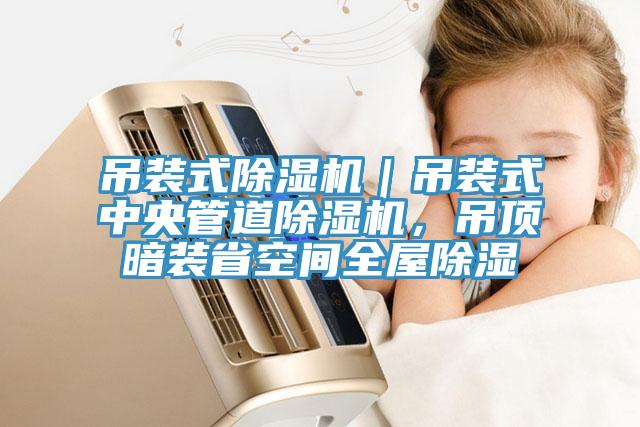 吊裝式除濕機｜吊裝式中央管道除濕機，吊頂暗裝省空間全屋除濕
