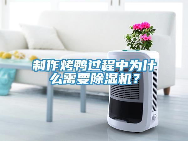 制作烤鴨過程中為什么需要除濕機？