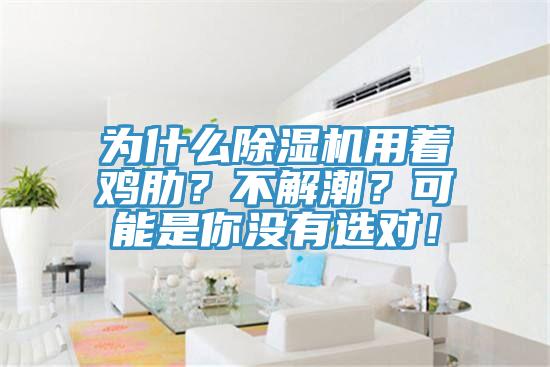 為什么除濕機(jī)用著雞肋？不解潮？可能是你沒有選對(duì)！