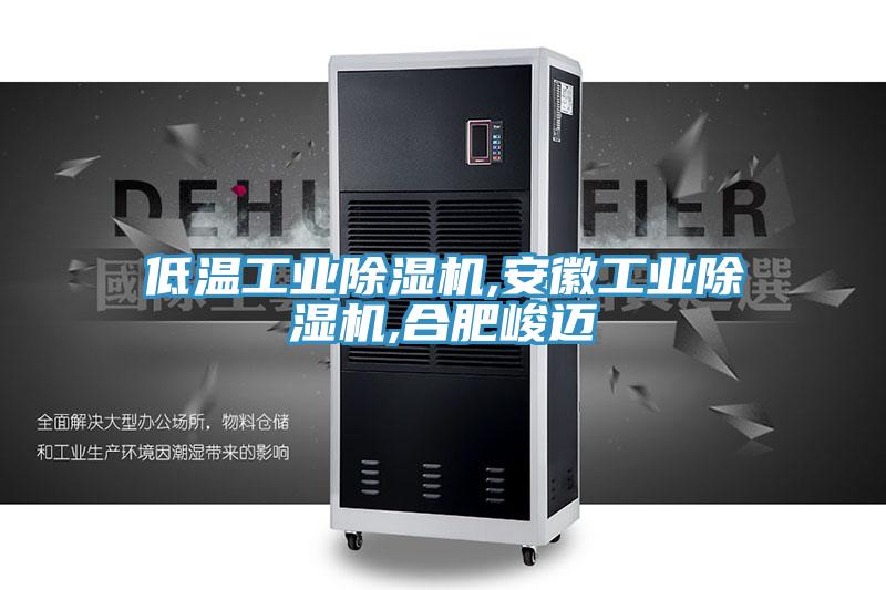 低溫工業除濕機,安徽工業除濕機,合肥峻邁