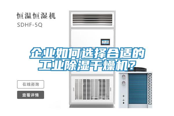 企業如何選擇合適的工業除濕干燥機？