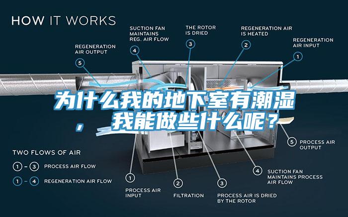 為什么我的地下室有潮濕， 我能做些什么呢？