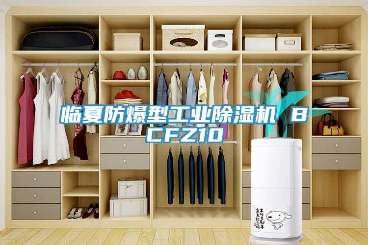 臨夏防爆型工業除濕機 BCFZ10
