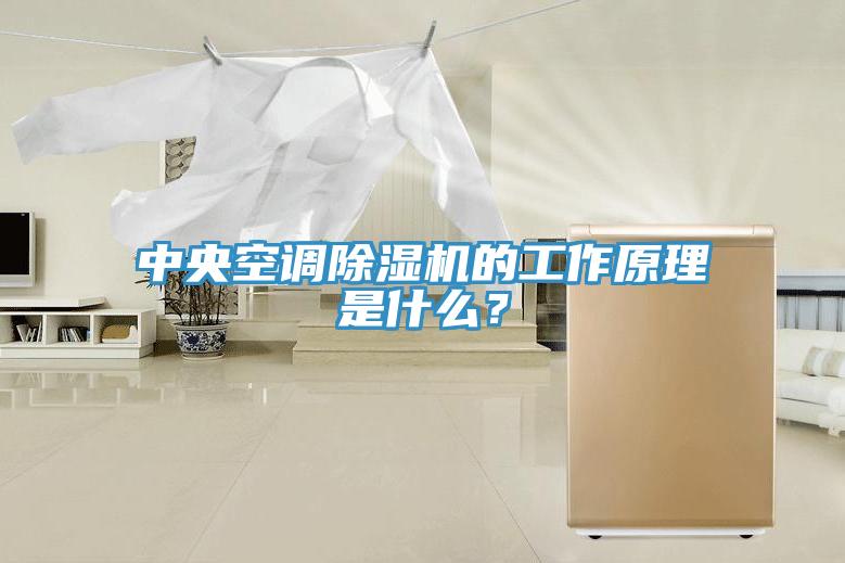 中央空調除濕機的工作原理是什么？