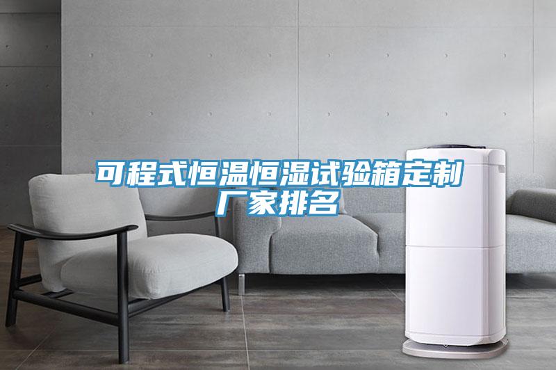 可程式恒溫恒濕試驗箱定制廠家排名