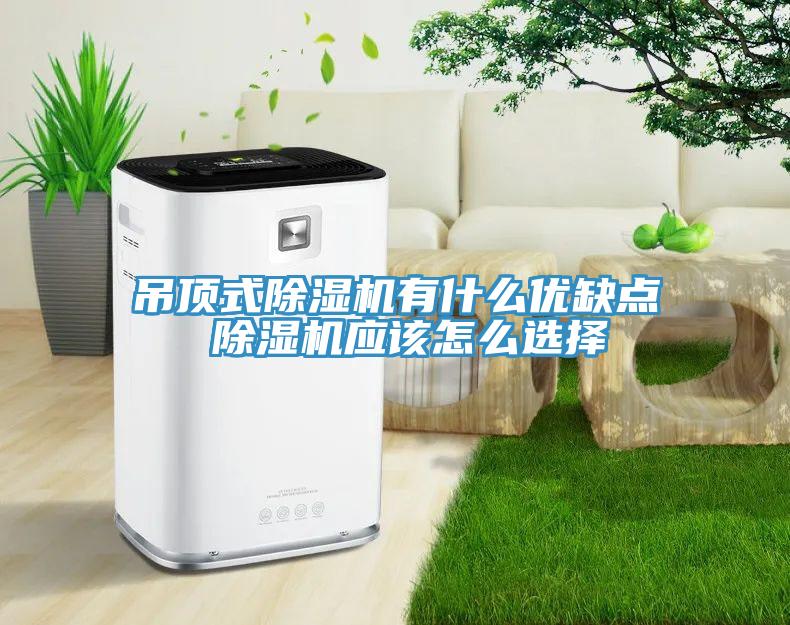 吊頂式除濕機有什么優(yōu)缺點 除濕機應該怎么選擇