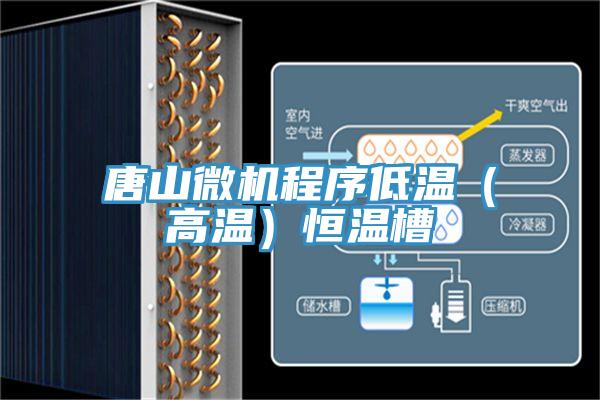 唐山微機程序低溫(高溫)恒溫槽
