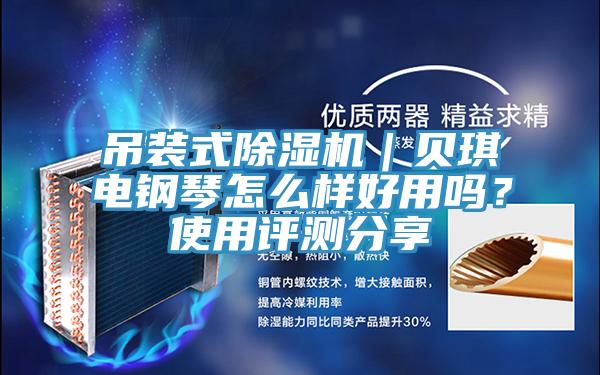 吊裝式除濕機｜貝琪電鋼琴怎么樣好用嗎？使用評測分享