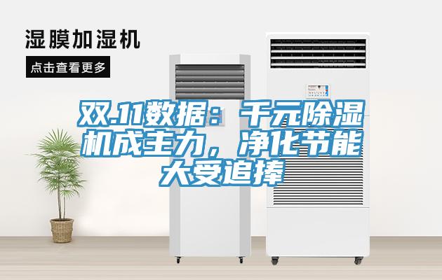 雙.11數據：千元除濕機成主力，凈化節能大受追捧