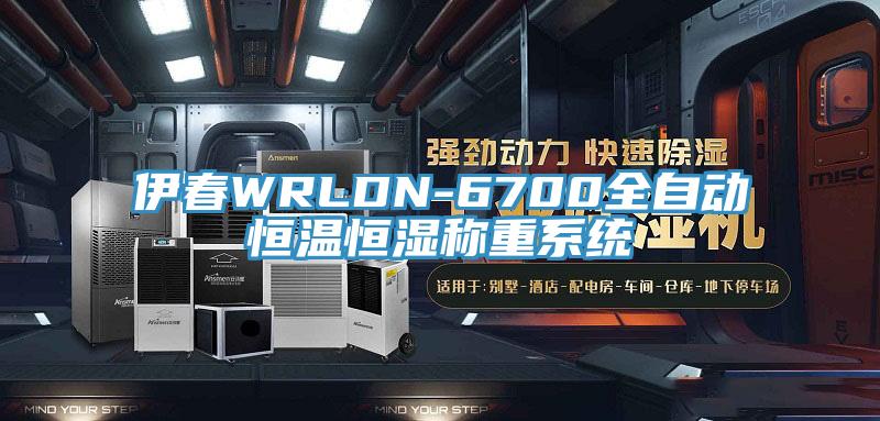 伊春WRLDN-6700全自動(dòng)恒溫恒濕稱(chēng)重系統(tǒng)