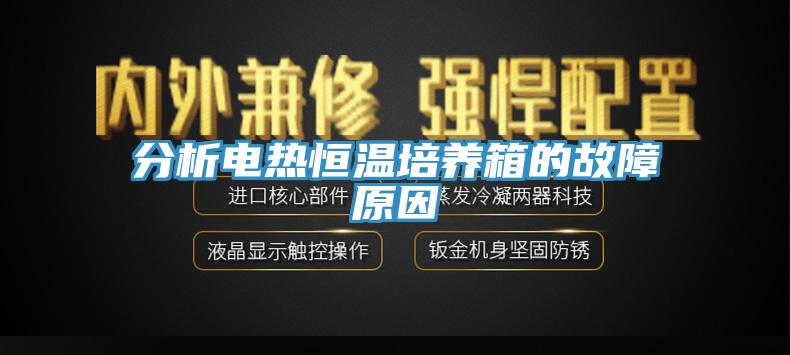 分析電熱恒溫培養箱的故障原因