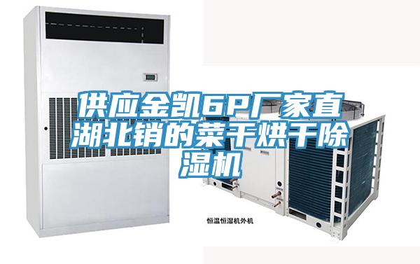 供應(yīng)金凱6P廠家直湖北銷(xiāo)的菜干烘干除濕機(jī)