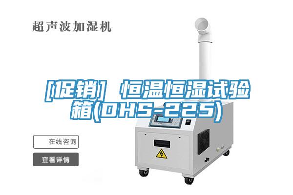 [促銷] 恒溫恒濕試驗箱(DHS-225)
