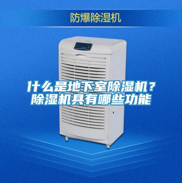 什么是地下室除濕機？除濕機具有哪些功能