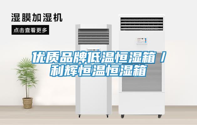 優質品牌低溫恒濕箱／利輝恒溫恒濕箱