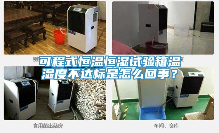 可程式恒溫恒濕試驗箱溫濕度不達標是怎么回事？