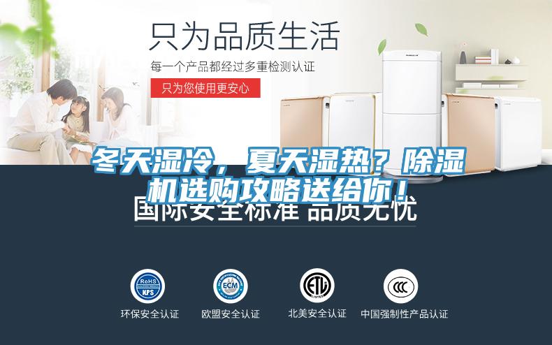 冬天濕冷,夏天濕熱?除濕機選購攻略送給你!