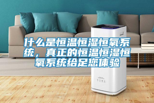 什么是恒溫恒濕恒氧系統，真正的恒溫恒濕恒氧系統給足您體驗