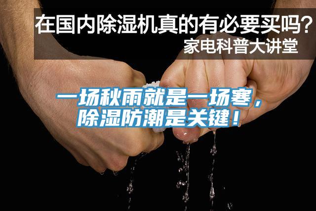 一場秋雨就是一場寒,除濕防潮是關鍵!