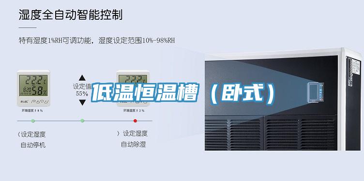 低溫恒溫槽(臥式)