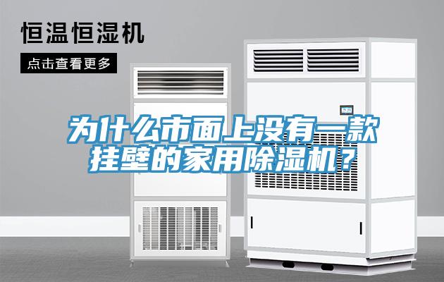 為什么市面上沒有一款掛壁的家用除濕機？