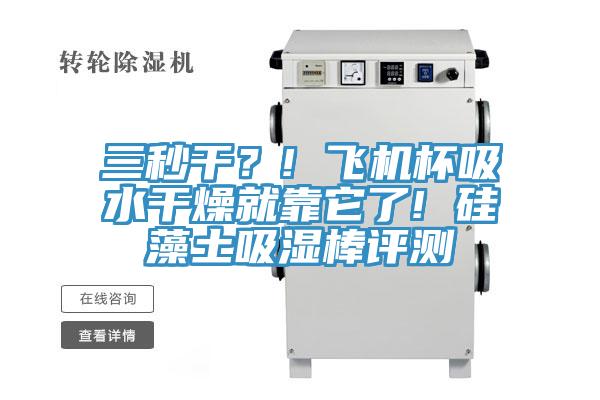 三秒干？! 飛機(jī)杯吸水干燥就靠它了! 硅藻土吸濕棒評(píng)測(cè)
