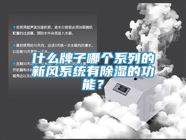 什么牌子哪個系列的新風系統有除濕的功能?