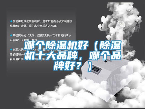 哪個除濕機好（除濕機十大品牌，哪個品牌好？）