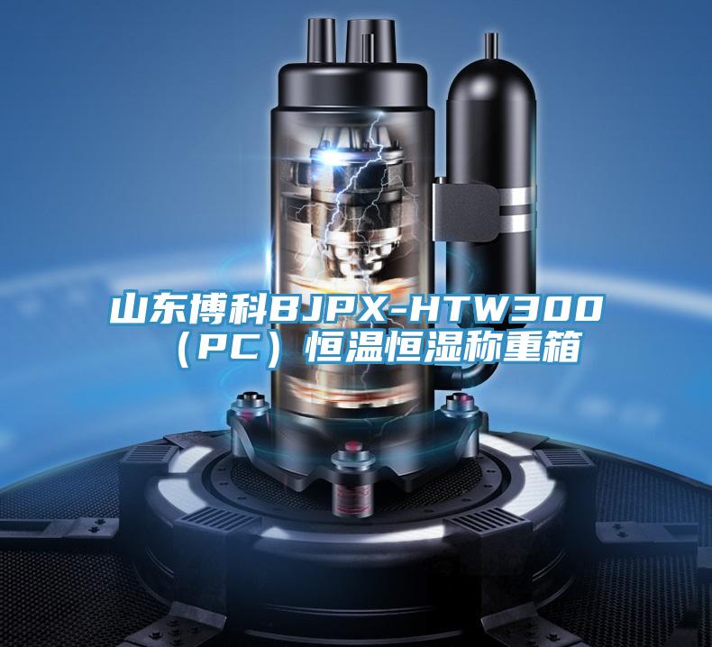 山東博科BJPX-HTW300(PC)恒溫恒濕稱重箱