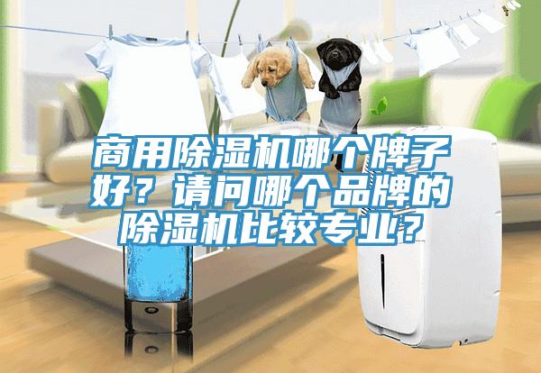 商用除濕機(jī)哪個(gè)牌子好？請(qǐng)問(wèn)哪個(gè)品牌的除濕機(jī)比較專業(yè)？