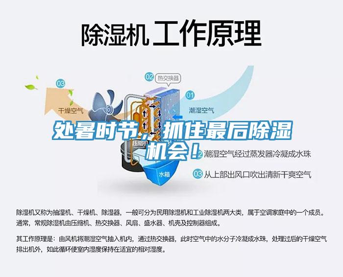 處暑時(shí)節(jié)，抓住最后除濕機(jī)會(huì)！